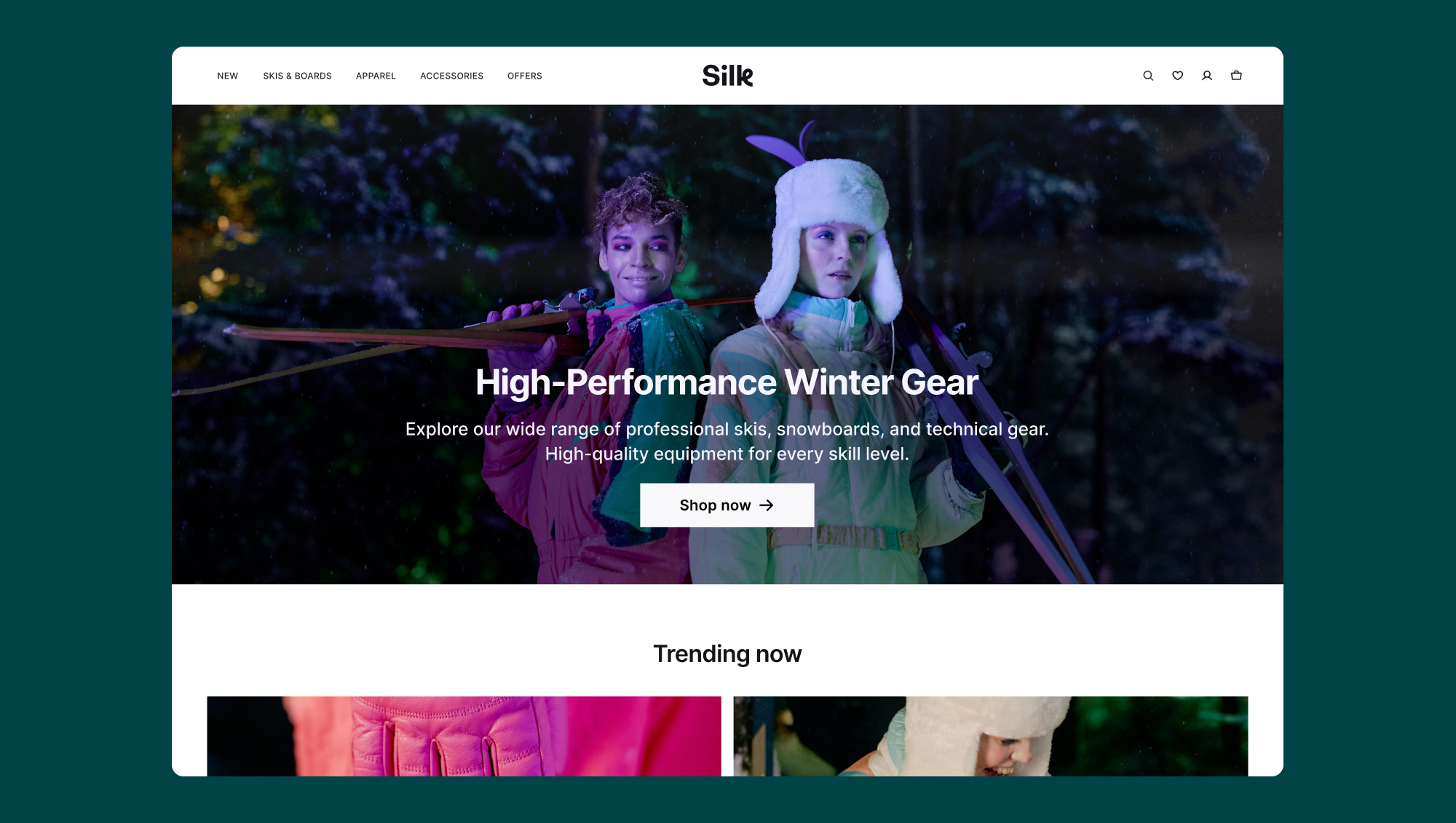 online apparel & clothing store example